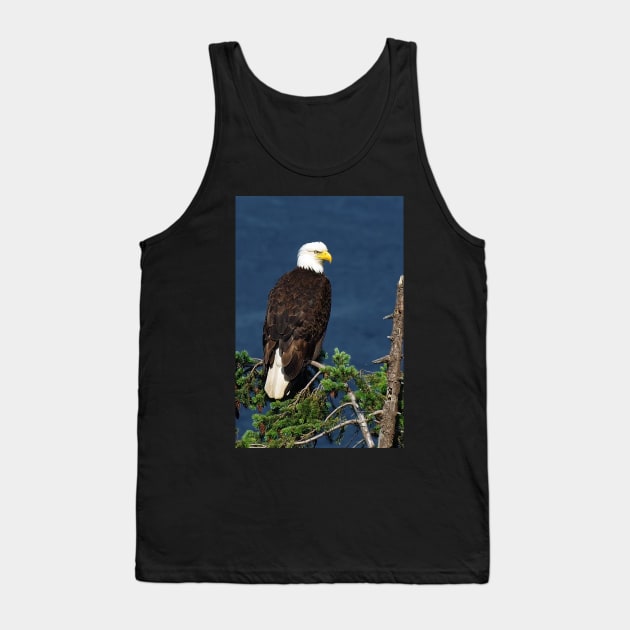 Proud Bald Eagle with White Tail Tank Top by naturediver